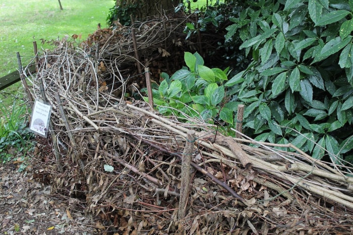 Une clôture de haies mortes rustique et naturelle autour d'un petit jardin familial.