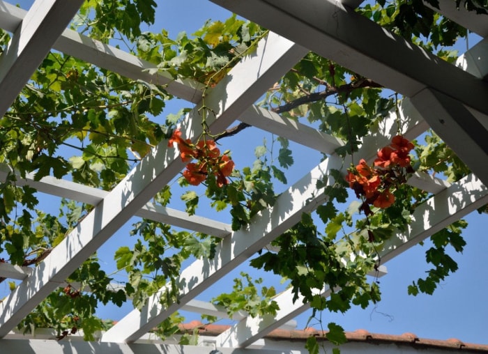 13 belles façons de décorer une pergola dans votre jardin