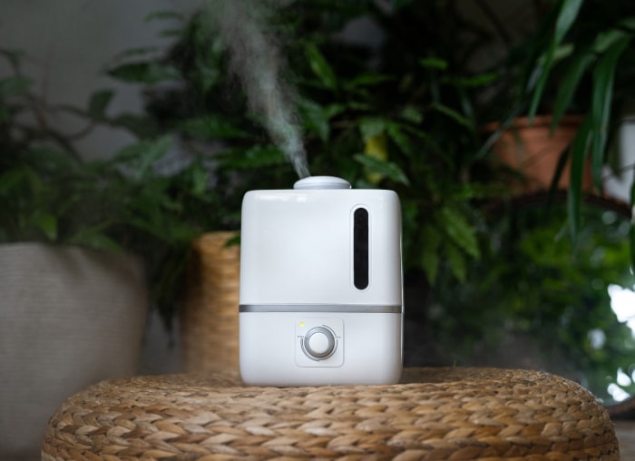 humidificateur d'air à la maison