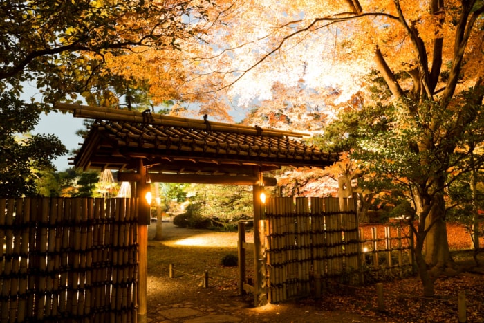 idées de jardin zen - clôture en bambou japonais au crépuscule