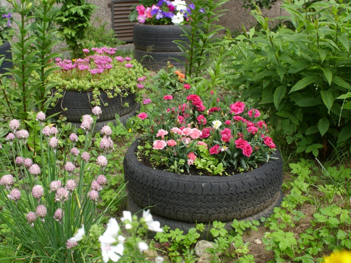 jardin fleuri avec de vieux pneus au premier plan