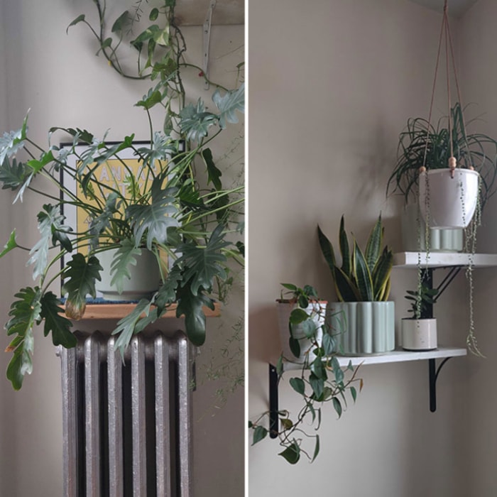 idées d'étagères pour plantes - étagère pour radiateur