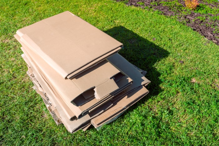 Pile de cartons sur l'herbe verte