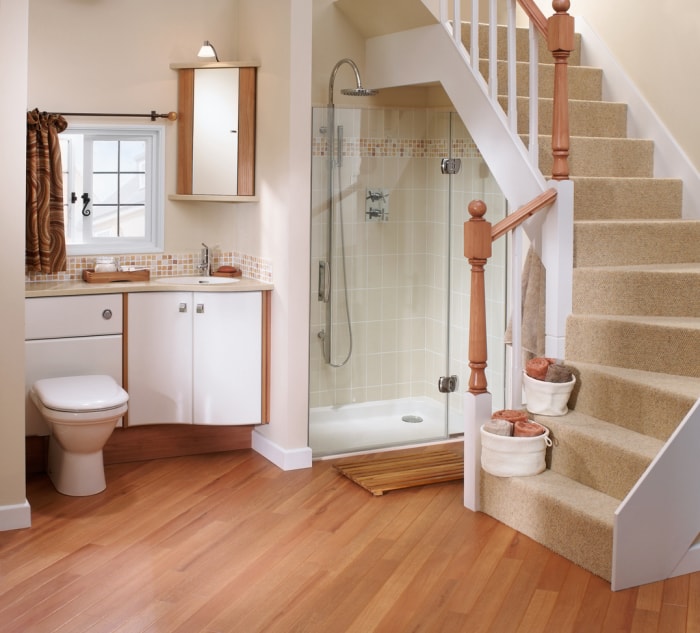 Petite salle de bain luxueuse avec douche sous l'escalier menant à un autre niveau.