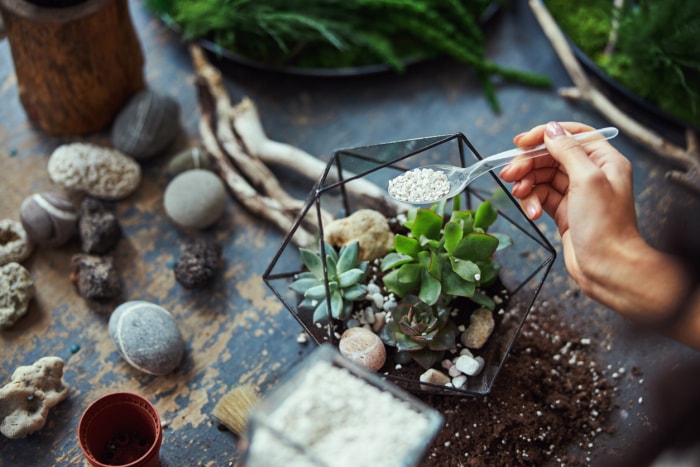 10 utilisations étonnamment astucieuses des briquettes de charbon de bois