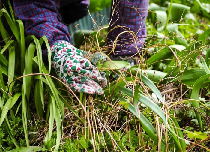 9 astuces pour un nettoyage rapide et facile de votre jardin cet automne