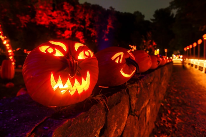 Les citrouilles sculptées brillent dans l'obscurité