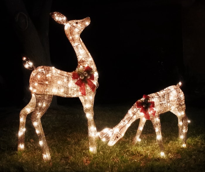 Deux statues de rennes décorées pour Noël avec des couronnes rouges brillent avec des guirlandes lumineuses blanches la nuit sur une pelouse de banlieue.