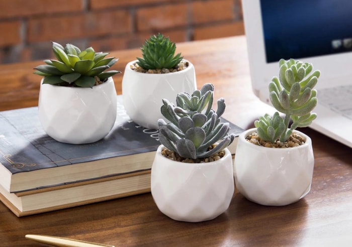 Les meilleurs endroits pour acheter de fausses plantes Option Wayfair