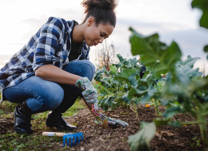 Les 10 plus grosses erreurs de jardinage potager