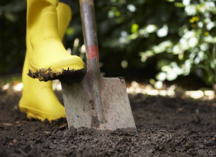 10 choses à faire maintenant pour un meilleur jardin l'année prochaine