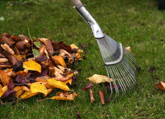 9 astuces pour un nettoyage rapide et facile de votre jardin cet automne