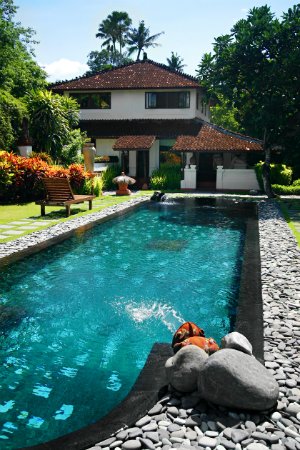 Entretien de la piscine - Backyard Pool