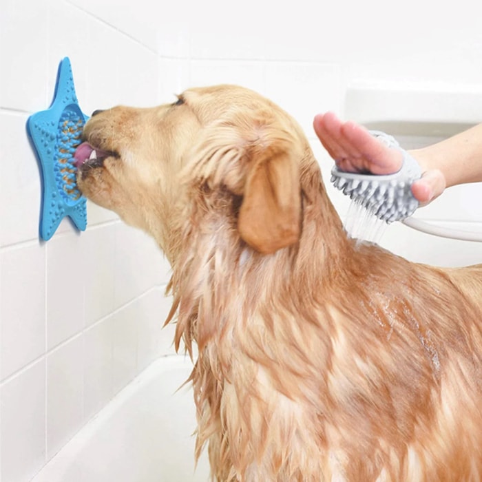 Chien léchant du beurre de cacahuète sur un coussinet sur le mur de la salle de bain