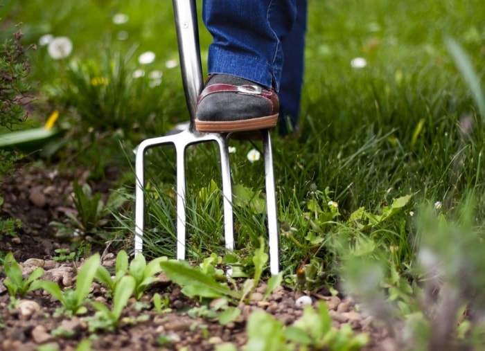 10 choses à faire maintenant pour un meilleur jardin l'année prochaine