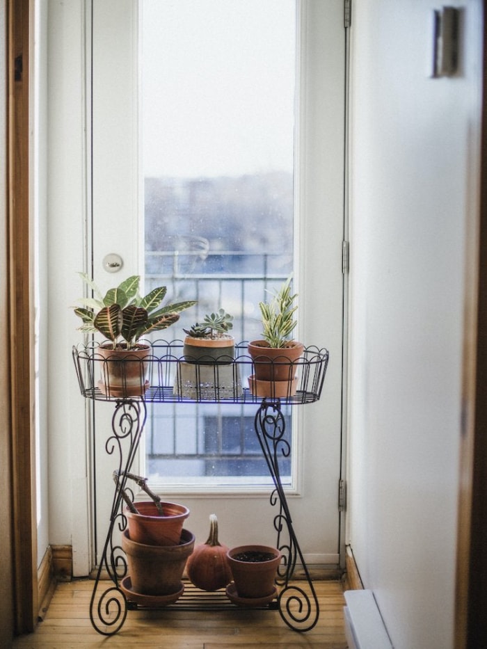 20 façons de jardiner sans jardin