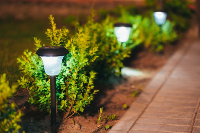 Lampes solaires en bordure de jardin.