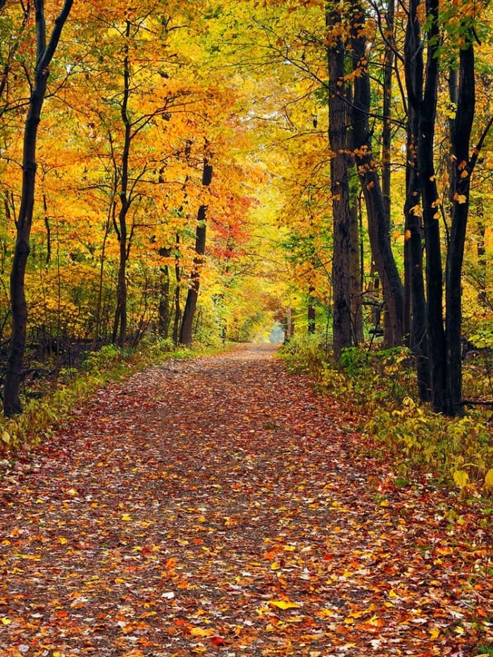 10 parcs nationaux à visiter en automne