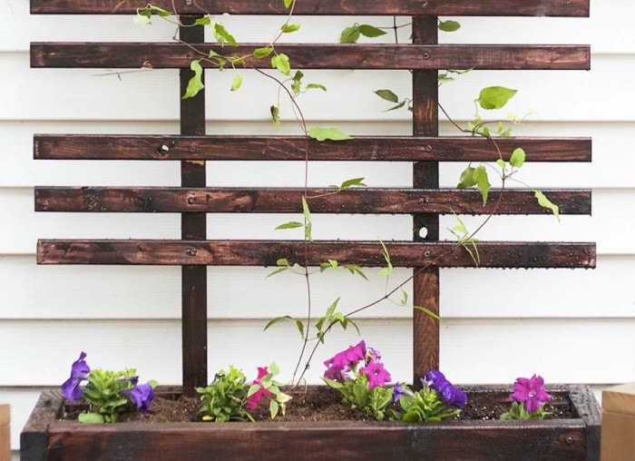 Treillis de jardin en bois.