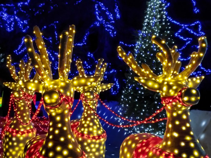 prévenir-le-vol-de-décorations-de-Noël-rennes-avec-des-lumières