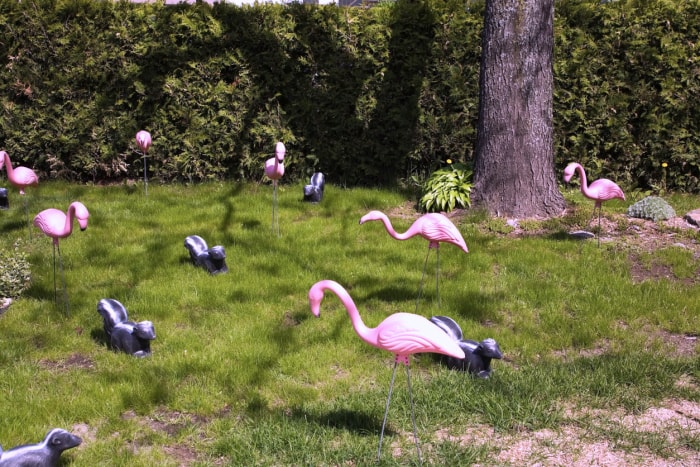 Flamants roses en plastique et mouffettes en plastique sur une pelouse herbeuse