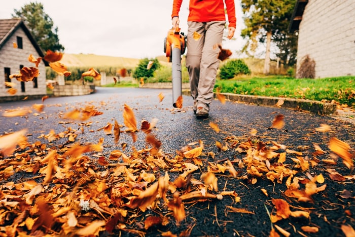 Utiliser un souffleur de feuilles sur des feuilles d'automne orange.