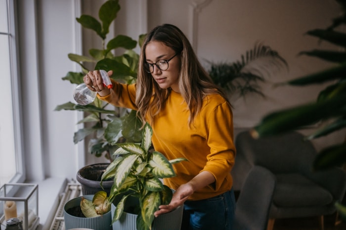 iStock-1360153618 comment améliorer votre vie femme arrosant les plantes de la maison