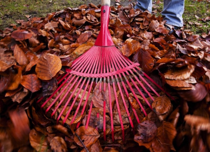 10 choses à faire maintenant pour un meilleur jardin l'année prochaine