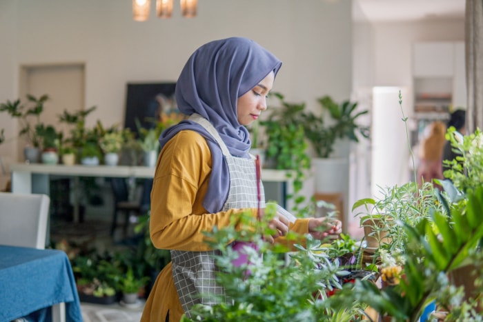 iStock-1256759928 ravive les plantes hivernées Une jeune fille asiatique prend soin de sa plantation d'intérieur