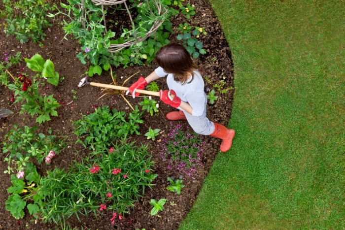 les erreurs de jardinage qui tuent vos plantes - vue aérienne d'une femme désherbant avec une houe