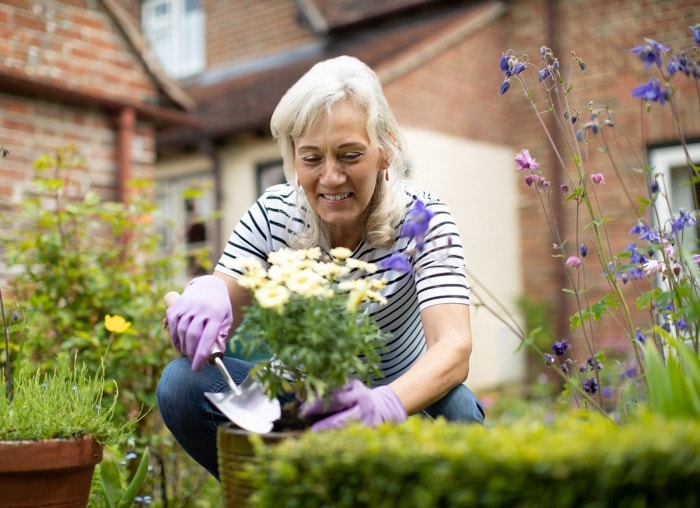 Les 15 meilleures fleurs pour les jardiniers débutants