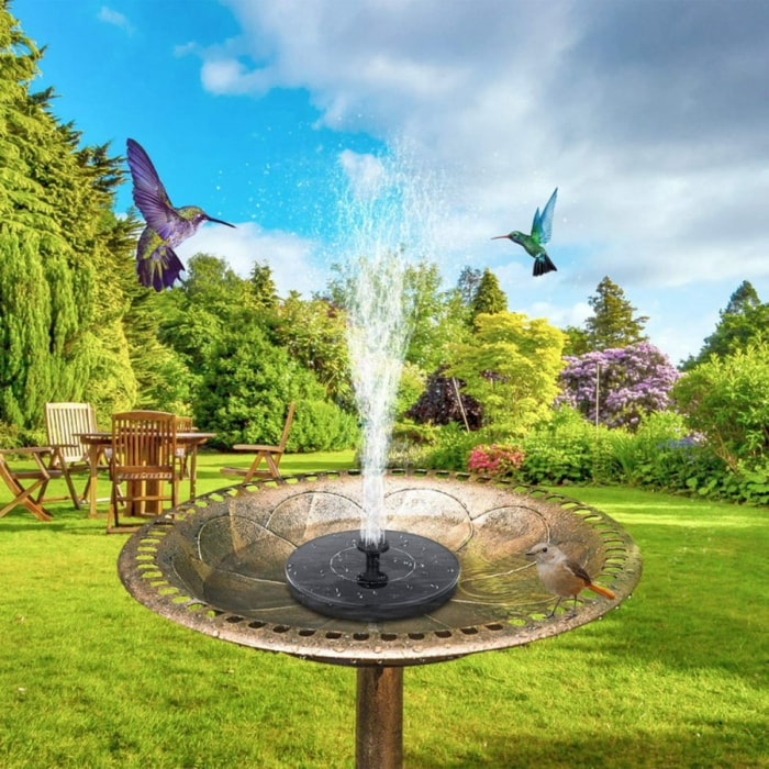 Fontaine solaire pour bain d'oiseaux avec oiseaux.