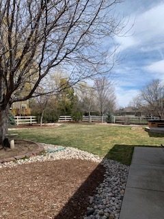 11 Vue de l'arrière-cour avant le traitement depuis le jardin, le 30 mars