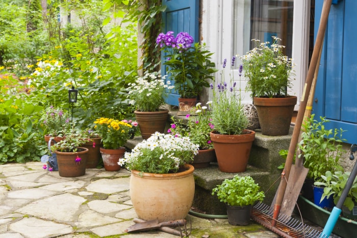 Fleurs en pot et verdure dans une variété de pots sur une terrasse.