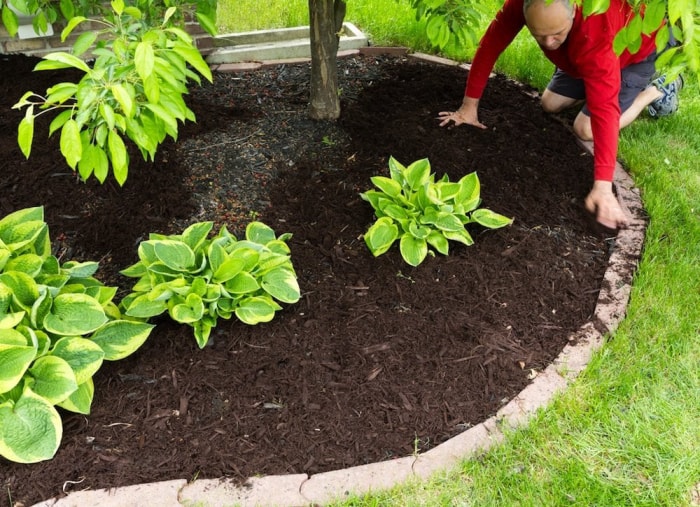 10 choses à faire maintenant pour un meilleur jardin l'année prochaine