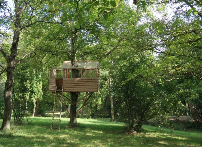 12 idées uniques de cabanes dans les arbres pour votre jardin