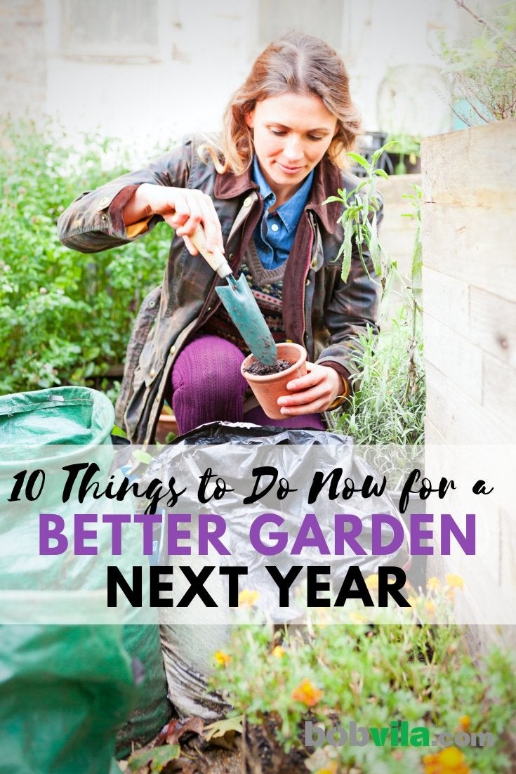 10 choses à faire maintenant pour un meilleur jardin l'année prochaine