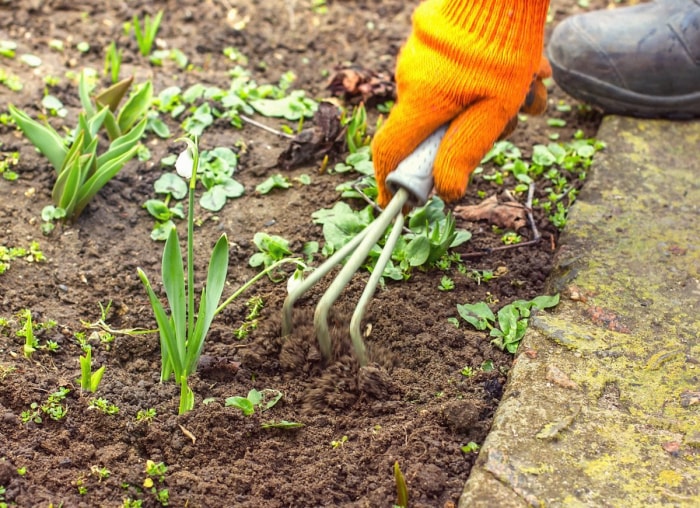 10 problèmes courants dans le jardin et comment les résoudre