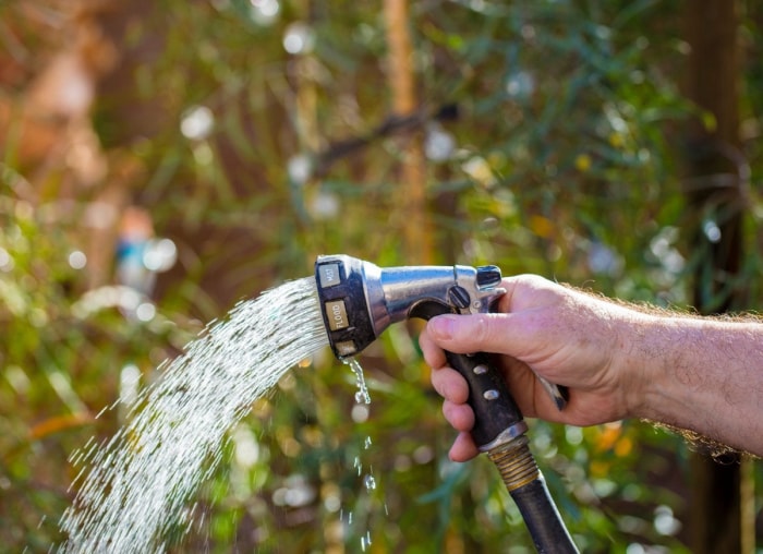 10 problèmes courants dans le jardin et comment les résoudre