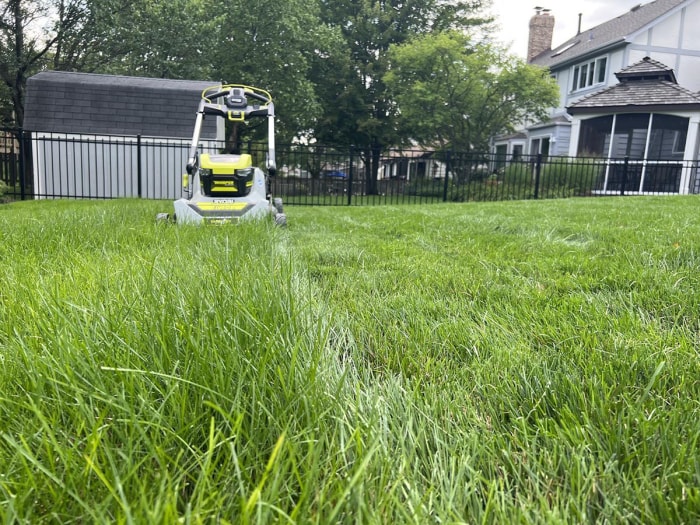 Gros plan de la différence entre la hauteur de l'herbe avant et après l'utilisation de la tondeuse autopropulsée à traction intégrale Ryobi de 21 pouces