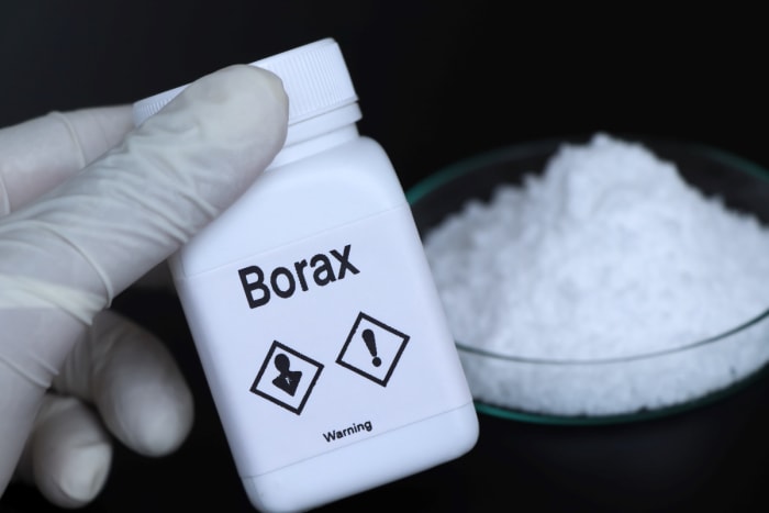 Main gantée tenant du borax