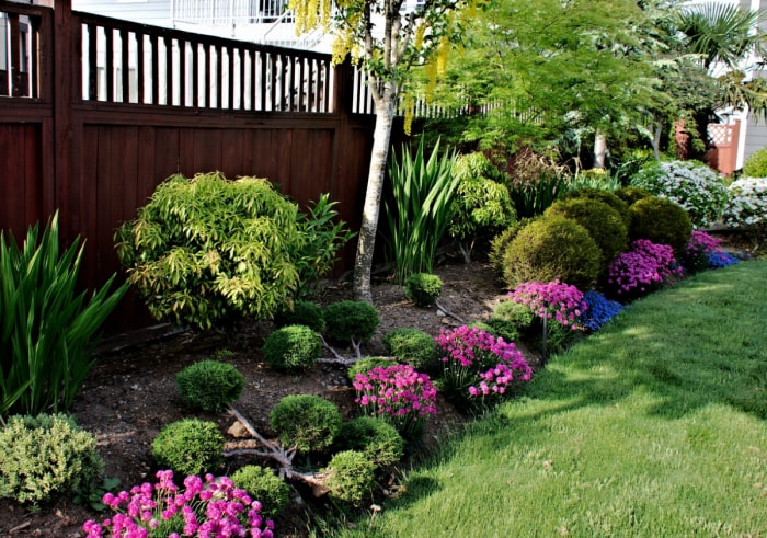 erreurs de jardinage qui tuent vos plantes - jardin paysager à l'ombre