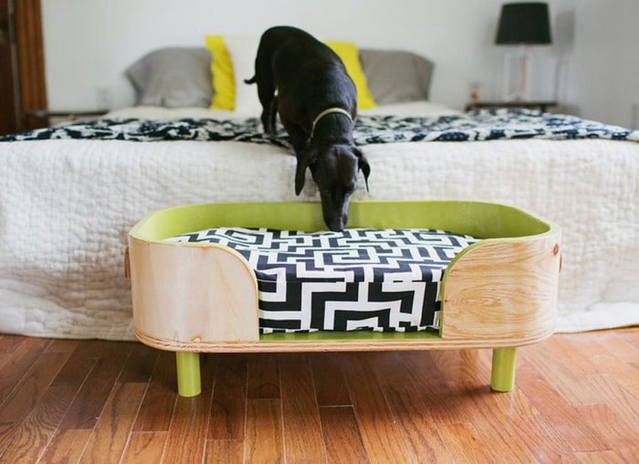 Petit chien regardant un lit élégant pour animal de compagnie