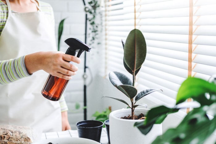 Une femme asiatique vaporise à la main des feuilles de plantes le matin à la maison à l'aide d'un vaporisateur pour arroser les plantes d'intérieur Concept d'entretien des plantes