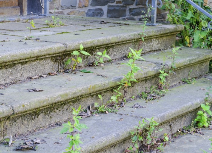 12 raisons pour lesquelles votre maison ne vaut pas autant que vous le pensez