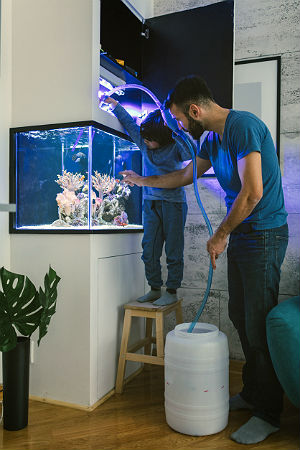 Comment nettoyer un aquarium en 6 étapes faciles