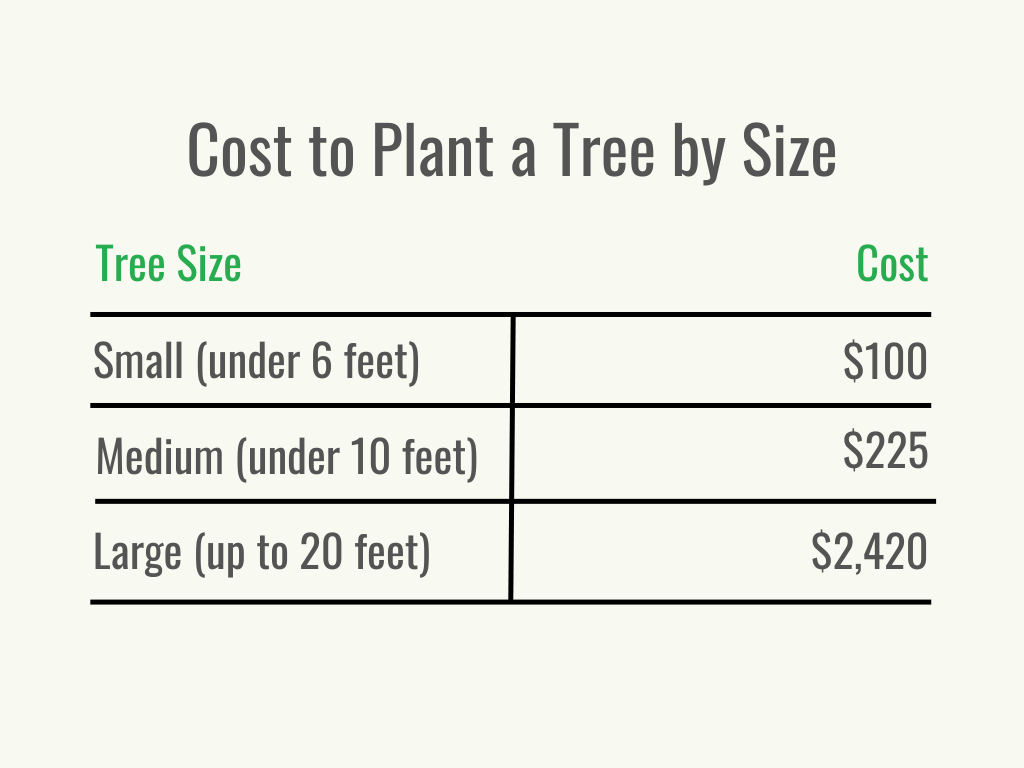 Visuel 2 - HomeAdvisor - coût de la plantation d'un arbre - coût par service - mai 2023