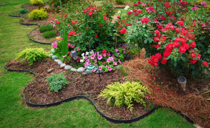 Parterre de jardin magnifiquement entretenu avec des fleurs lumineuses, du paillis et des bordures paysagères.