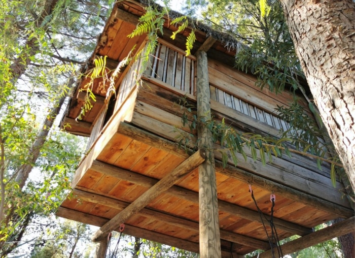 12 idées uniques de cabanes dans les arbres pour votre jardin