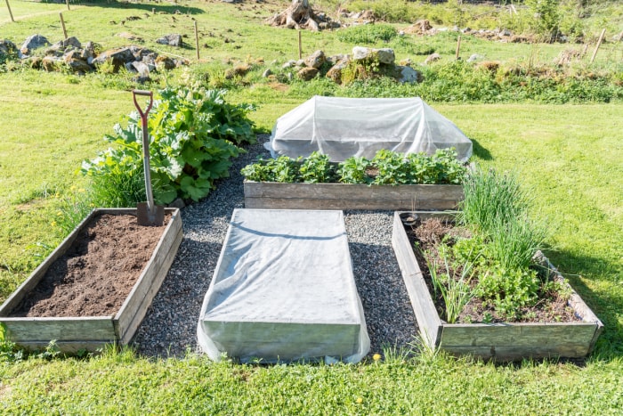 iStock-996717818 boîtes de platine de jardinage de haute altitude couvertes et protégées des éléments et du feu